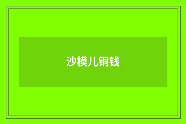 沙模儿铜钱