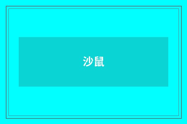 沙鼠