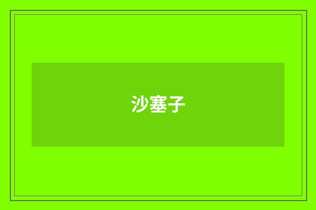 沙塞子