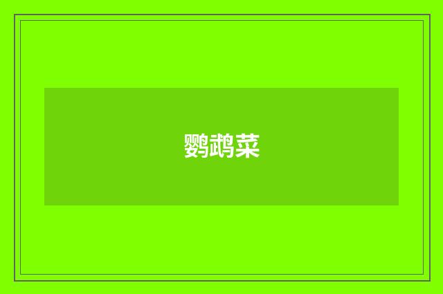 鹦鹉菜