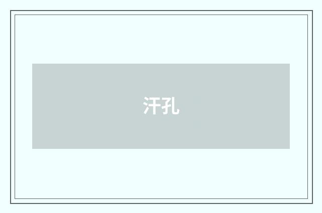 汗孔