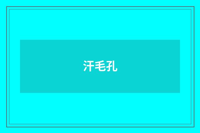 汗毛孔