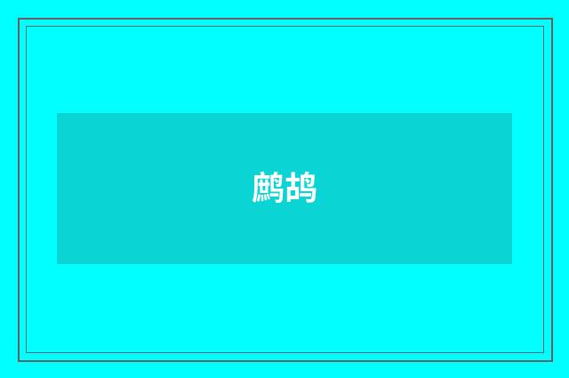 鹧鸪