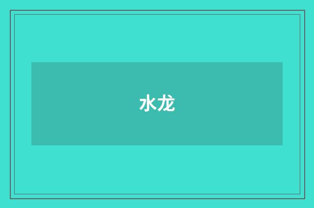 水龙