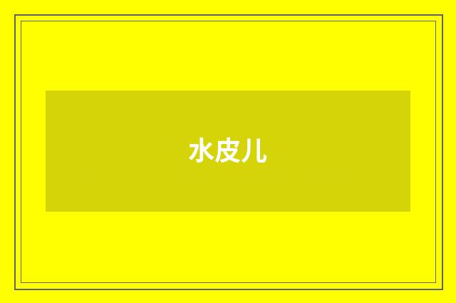 水皮儿