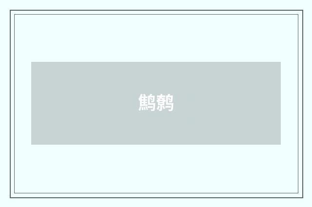 鹪鹩