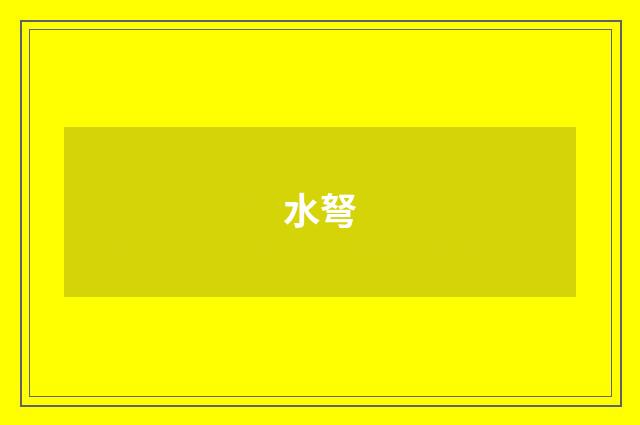 水弩