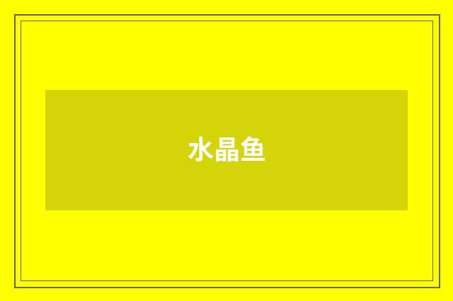 水晶鱼