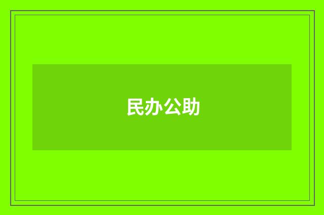 民办公助