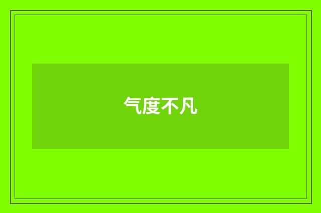 气度不凡