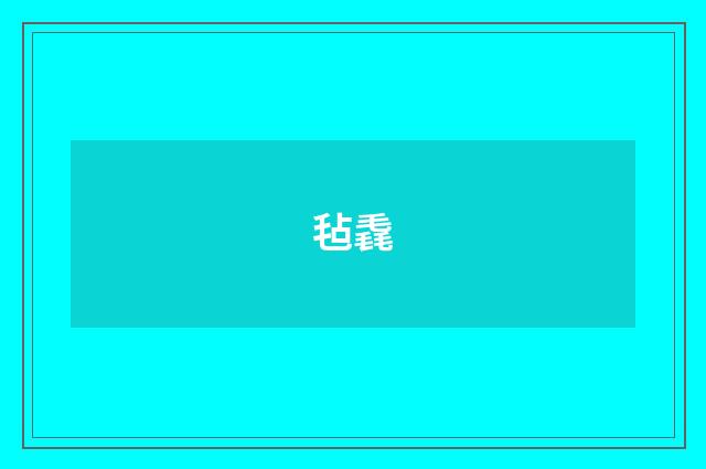 毡毳