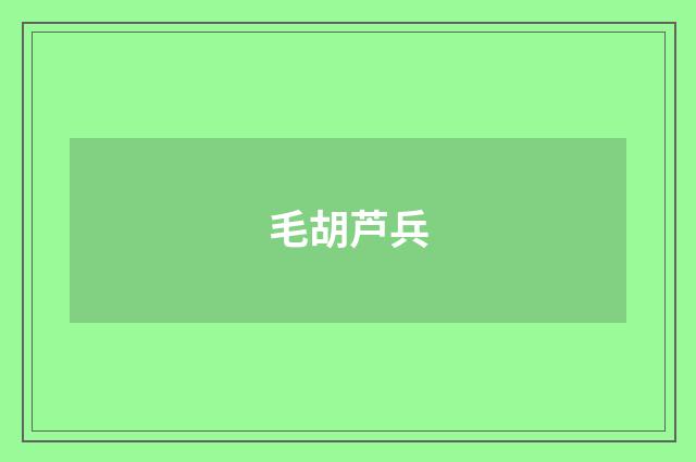 毛胡芦兵
