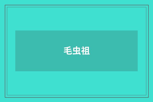 毛虫祖