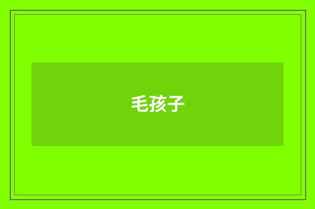 毛孩子