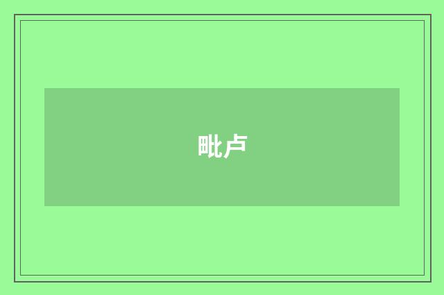 毗卢