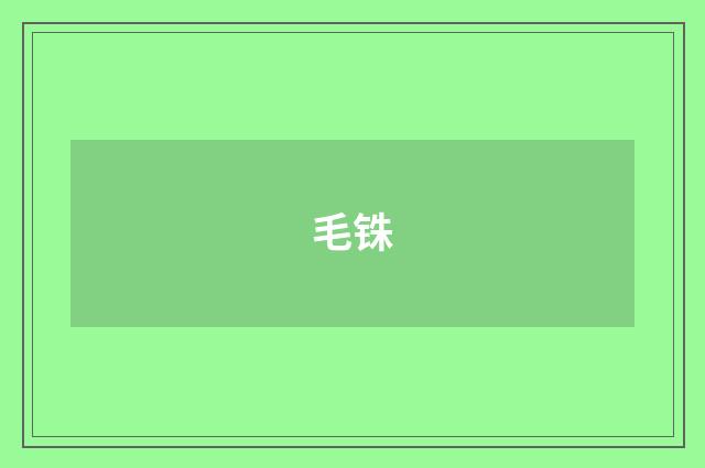 毛铢