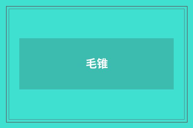 毛锥