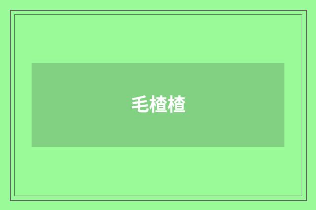 毛楂楂