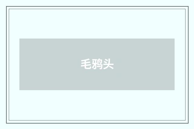 毛鸦头