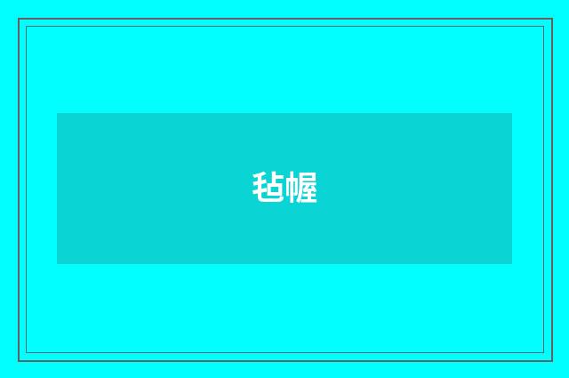 毡幄