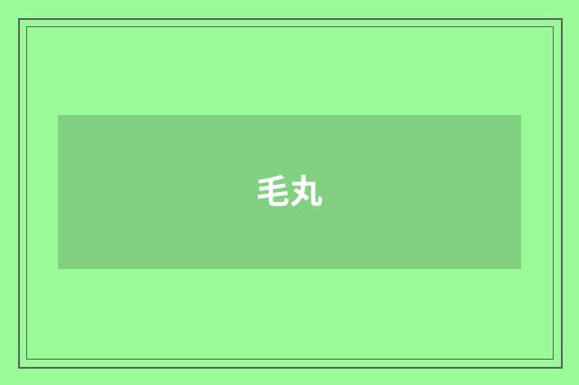 毛丸