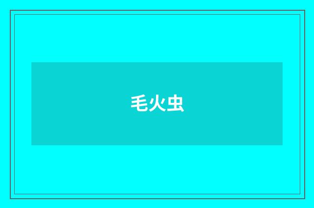 毛火虫