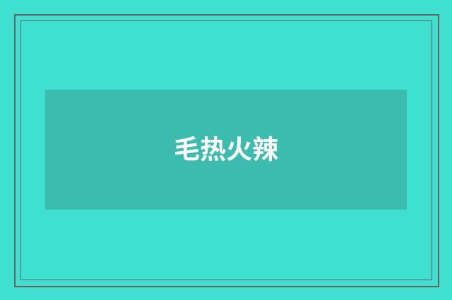 毛热火辣