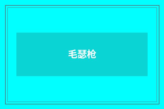 毛瑟枪