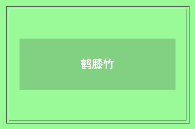 鹤膝竹