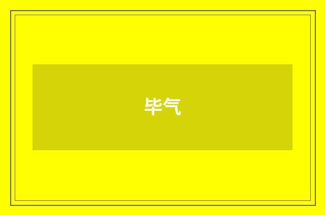 毕气