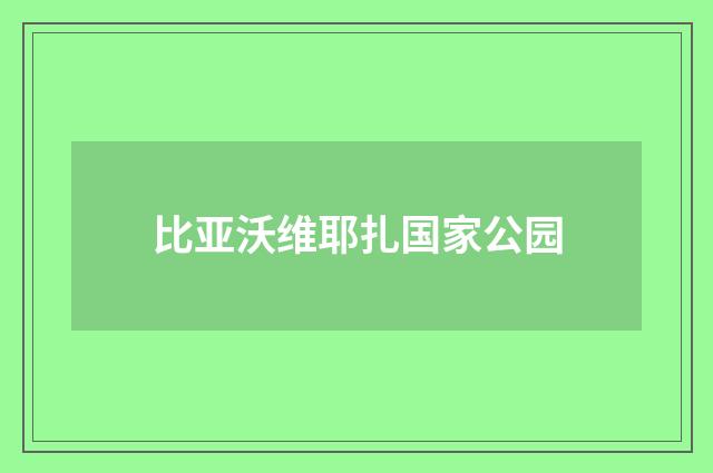 比亚沃维耶扎国家公园