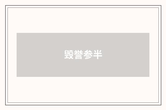 毁誉参半