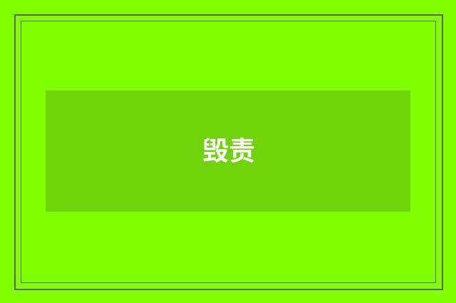 毁责