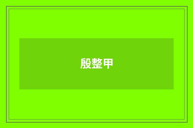 殷整甲