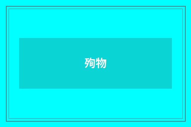 殉物