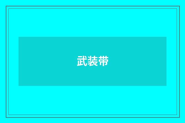 武装带