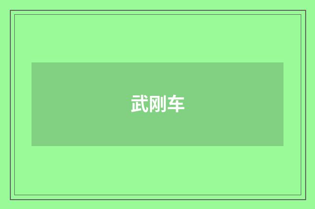 武刚车