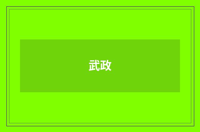 武政