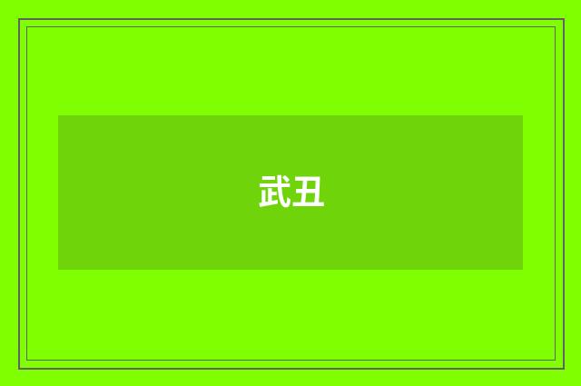 武丑