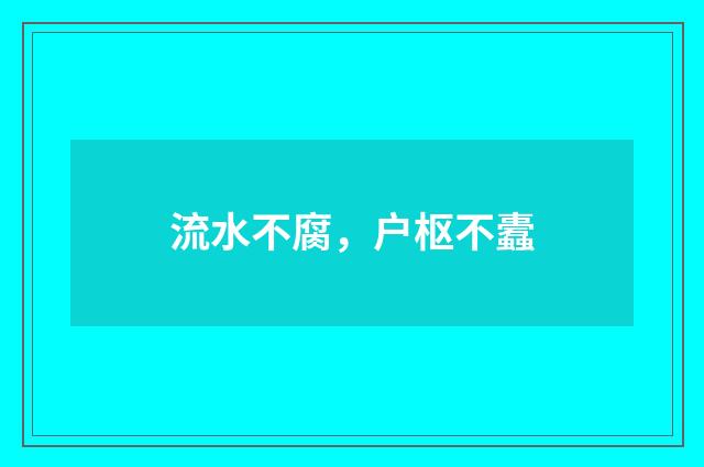 流水不腐，户枢不蠹