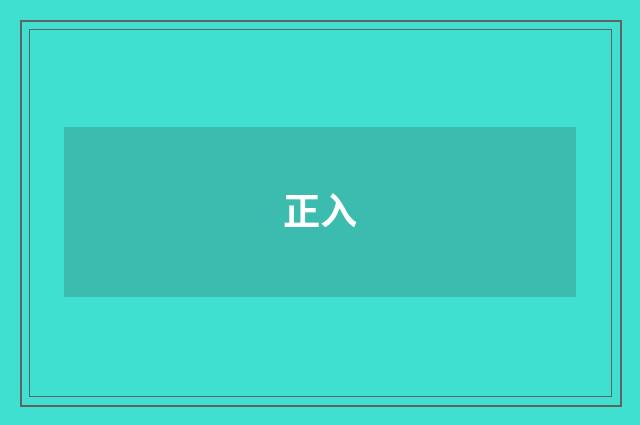 正入