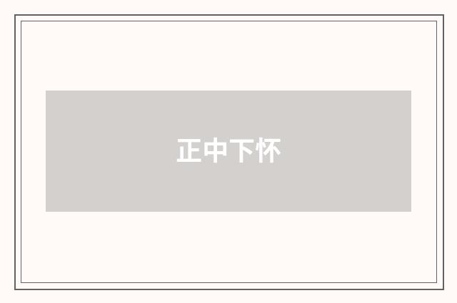 正中下怀