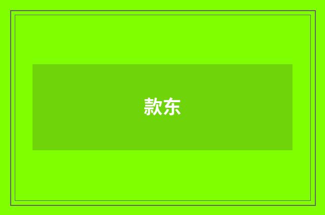款东