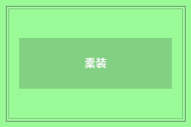 橐装