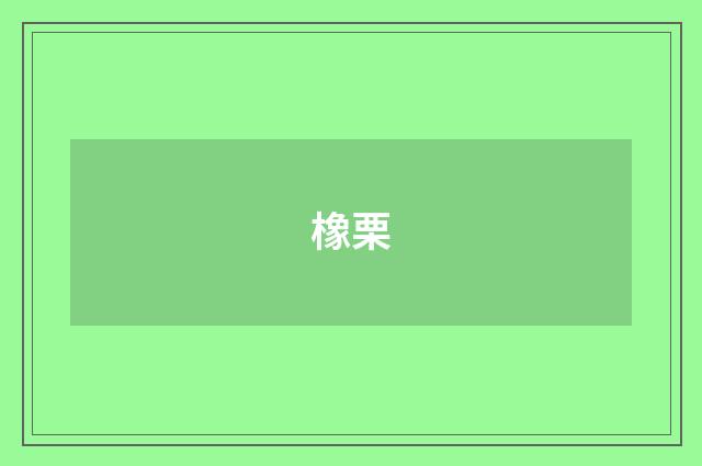 橡栗