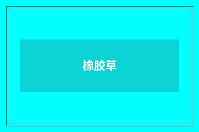 橡胶草