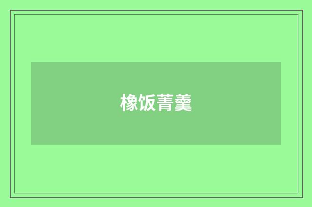 橡饭菁羹
