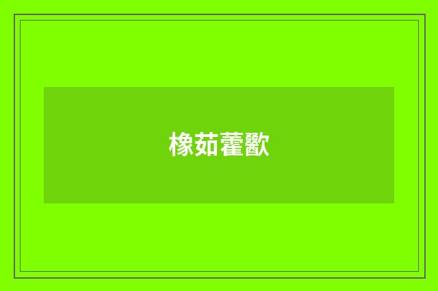 橡茹藿歠