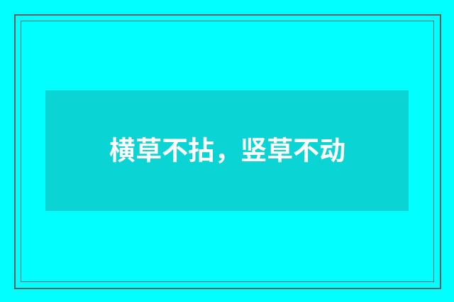 横草不拈，竖草不动