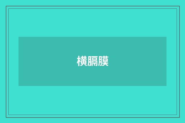 横膈膜